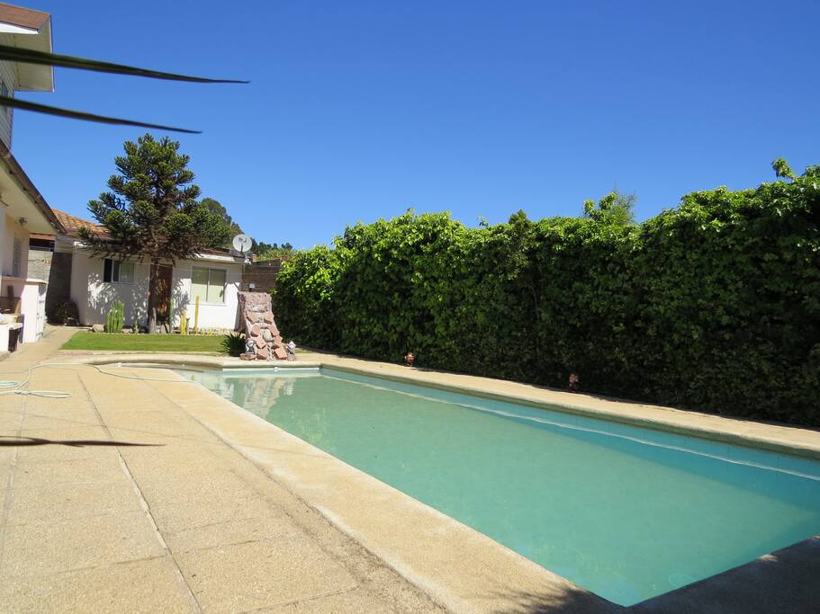 Yard and Pool