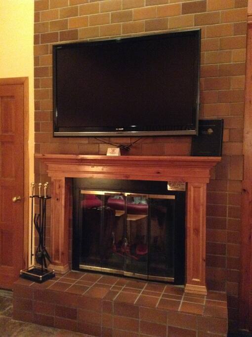 Wood burning fire place