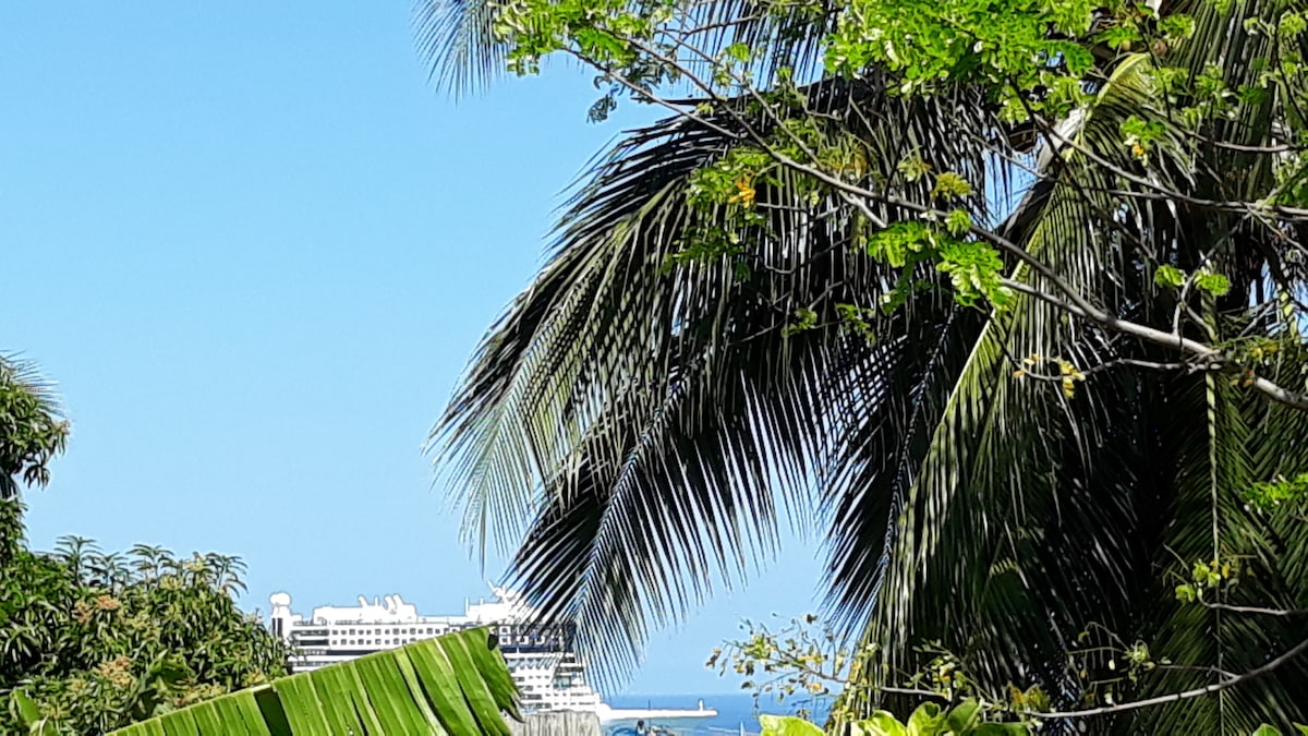A view from the private patio showcases tropical foliage framing a sparkling blue sea. In the distance, a cruise ship is visible on the horizon against a clear sky, highlighting the serene coastal setting.