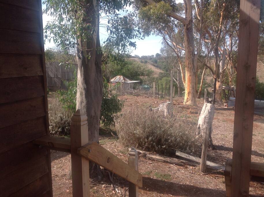Here is the little cabin for camping out