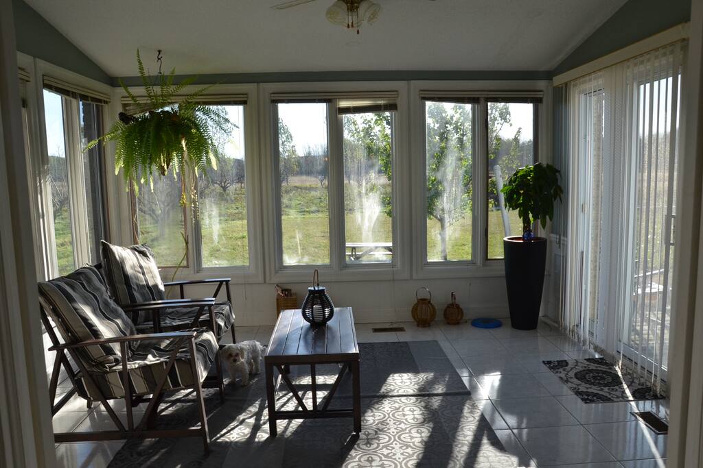 Sun Room