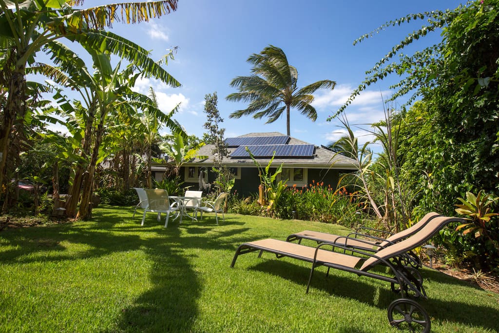 tropical garden for relaxing and sun bathing