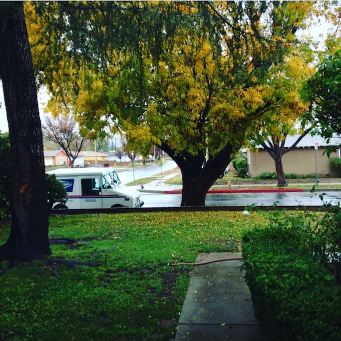 Front walkway