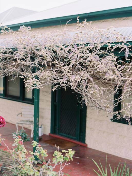 Cottage front, your private hideaway