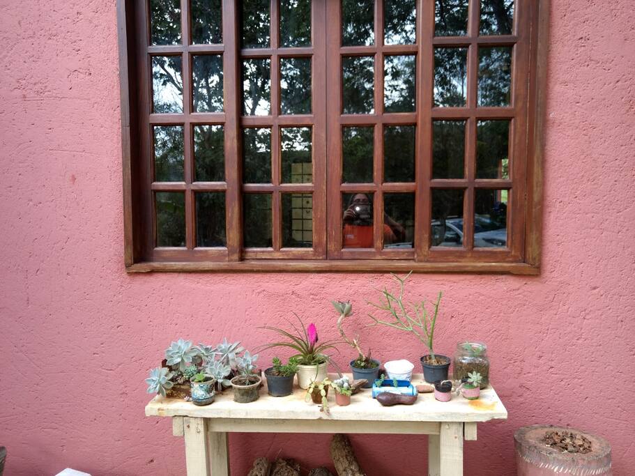 Detalhe Jardim