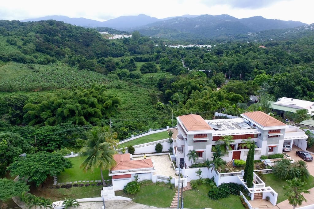 Bird's eye view to the mountain of El Yunque