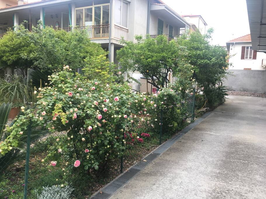 Outside view