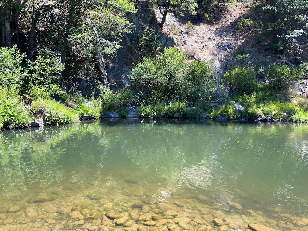 A serene section of Spanish Creek is depicted, with clear water revealing smooth stones beneath the surface. Lush greenery and trees line the banks, providing a natural backdrop, while gentle ripples suggest a peaceful ambiance.
