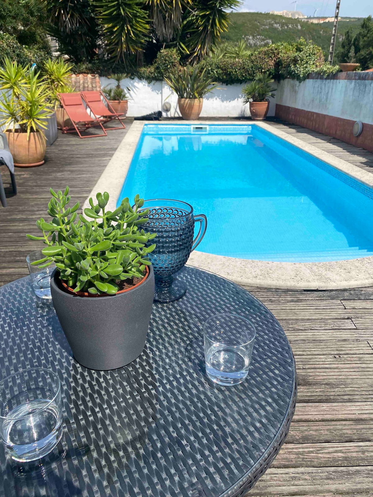 A clear swimming pool is surrounded by wooden decking and potted plants, creating a serene outdoor setting. A glass table with a potted succulent and small glasses is positioned nearby, inviting relaxation in a peaceful atmosphere.