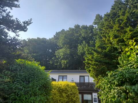 Apartment quiet, non-smoker,
with shopping service