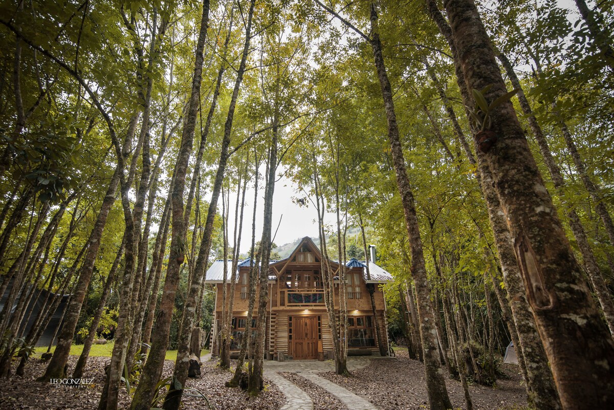 A charming cabin is nestled among tall trees with vibrant green foliage. The rustic wooden exterior is accented by large windows and a welcoming double-door entrance. A winding pathway leads from the foreground to the cabin, creating a serene and inviting approach.