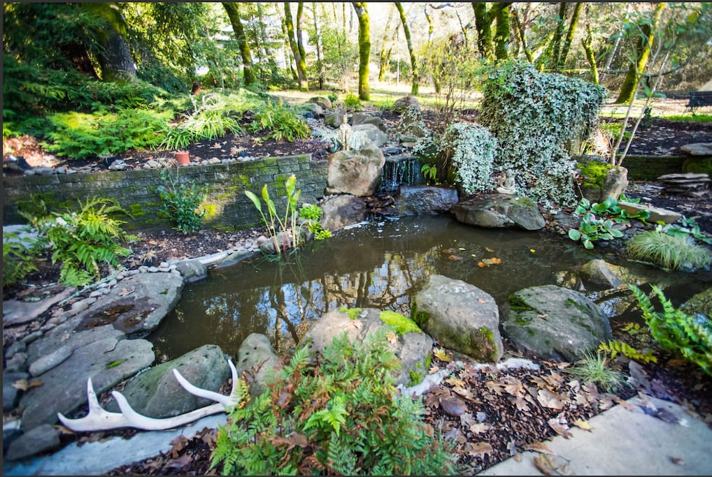 Tranquil stream and koi pond