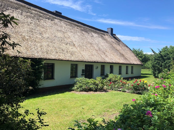 Vacation under the thatched roof Apartments for Rent in Alt Bukow