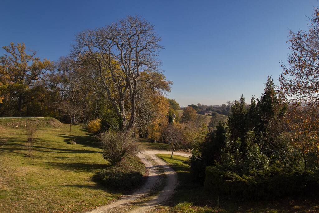 Driveway view from house