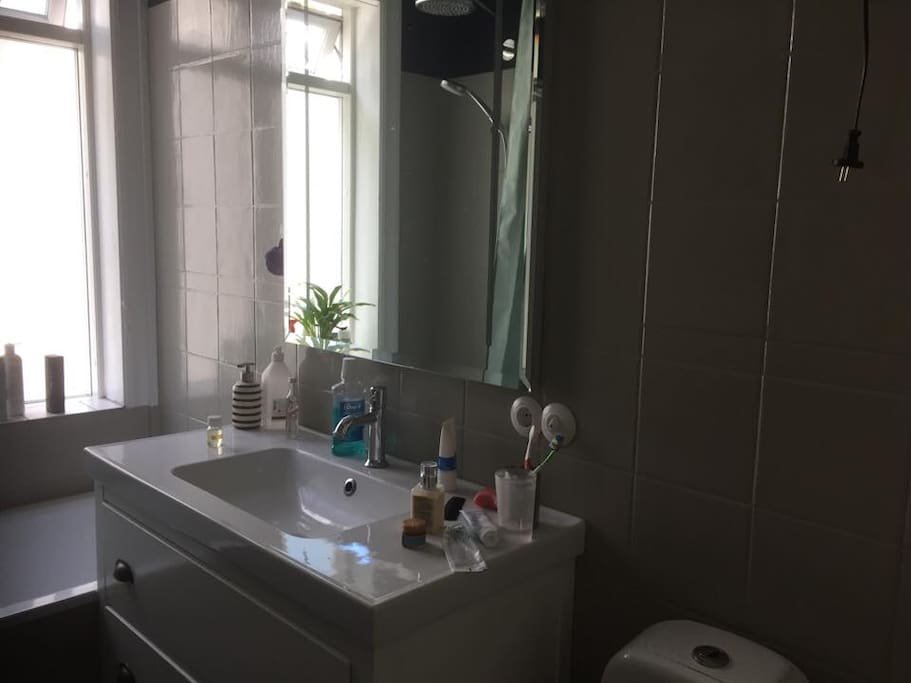 Bathtub, shower, large sink and a toilet. Space for toiletries.
