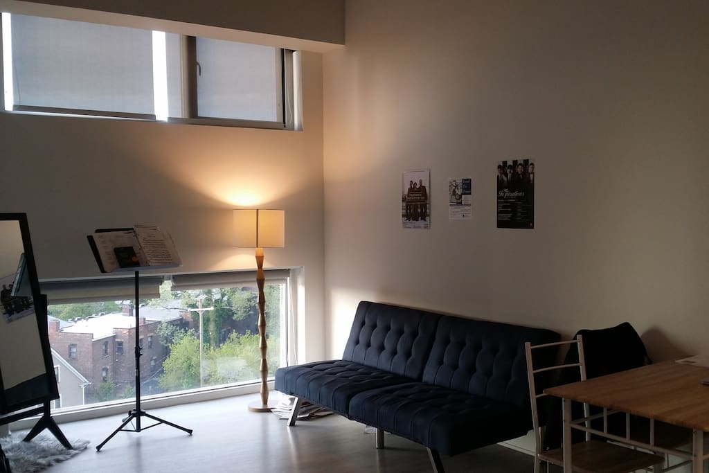 Spacious living room. Couch with adjustable back to convert into a bed.