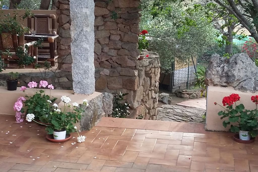 ...Terrazza Ingresso...