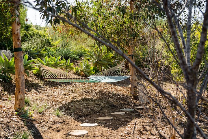 在桉树林下放松身心的吊床。