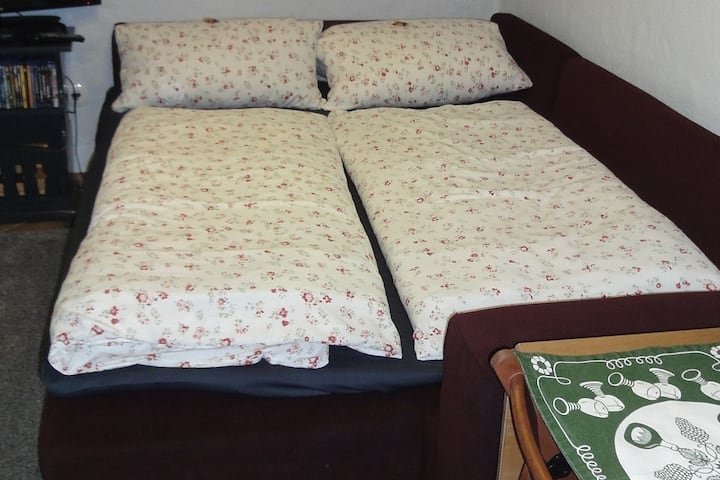 Sofá de la sala de estar hecho en cama de tamaño completo.