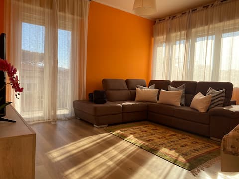 Successful Airbnb property: Elegant and spacious apartment 50 m from the sea in Camaiore
