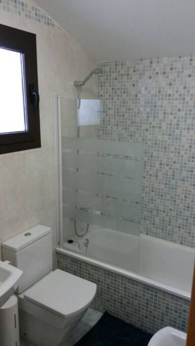 Baño plata 2