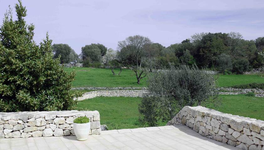 Casa Cicerali Ostuni gallery image 4