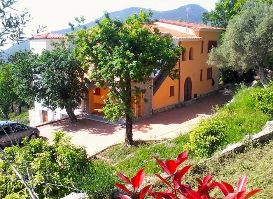 veduta d'insieme con la sistemazione esterna
