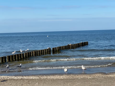 Erfolgreiche Airbnb-Immobilie: Idyllic vacation home 10 minutes from the beach in Ückeritz