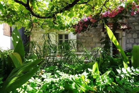 The Old Vine House Perast Montenegro