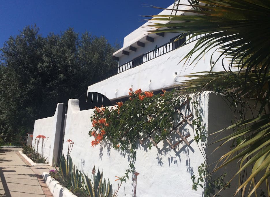 The house - La casa