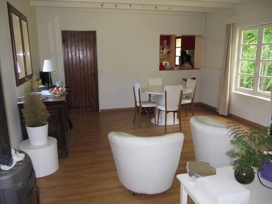 Salon, salle à manger, cuisine ouverte