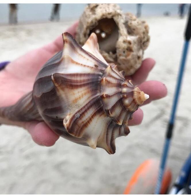 Whether it is looking for shells or napping by the ocean, Oak Island is a beautiful place to recharge.