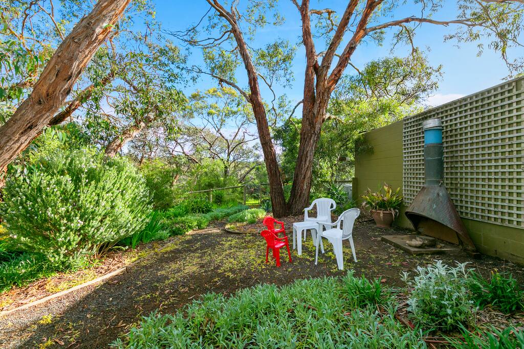 Back garden
