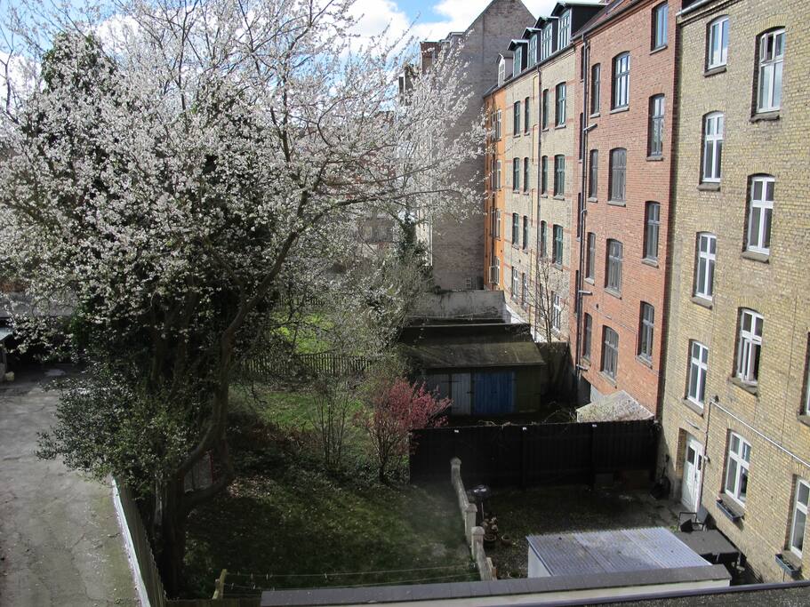 Udsigt fra masterbedroom til rolig baghave.