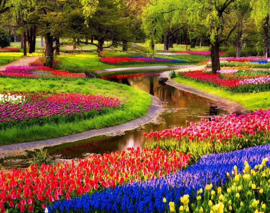 KEUKENHOF 2017
Spring in the air!
Easy to get it! Master Apartment Amsterdam