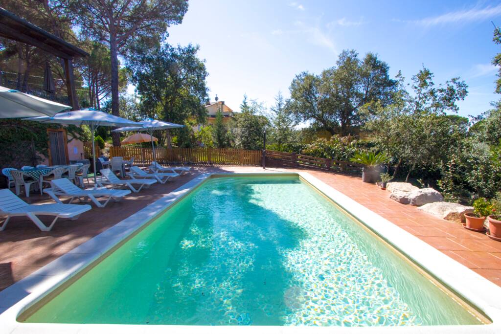 Swimming pool and sunbeds