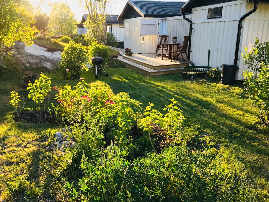 Private backyard with evening sun.