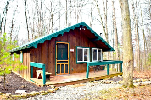 Lumberjack Cabin: WiFi+Near Bald Eagle State Park