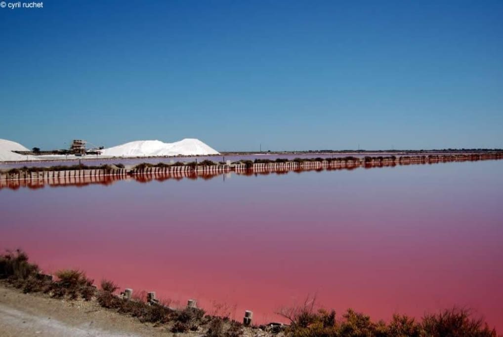Les Salins du Midi