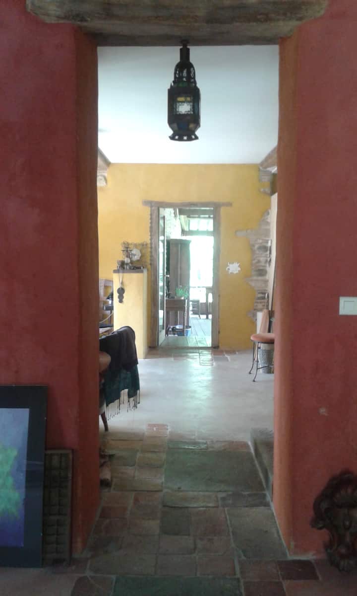 من غرفة المعيشة...