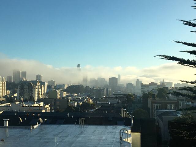 Sunny, Spacious Penthouse with Stunning City Views gallery image 3