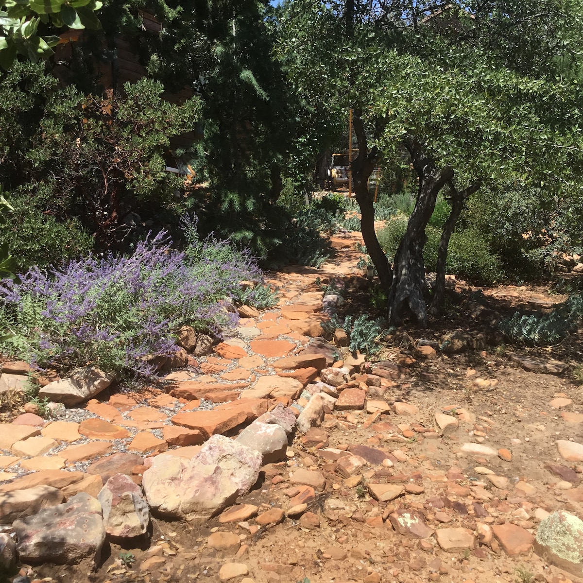 Garden paths meander through the lush landscape, lined with native plants and aromatic lavender. Natural stone pavers create a rustic walkway, surrounded by diverse greenery and textured rocks, leading toward the cabin in a serene setting.