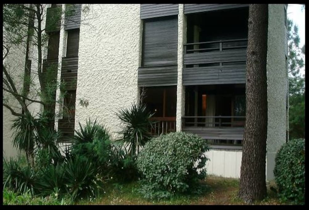 Back of Apartment