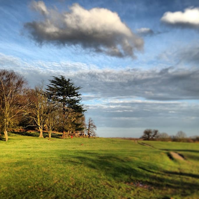 Photo of Richmond Park