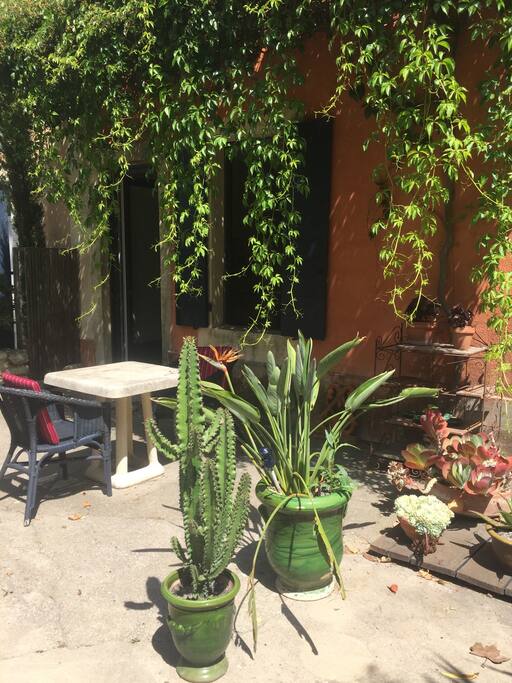 terrasse devant le studio