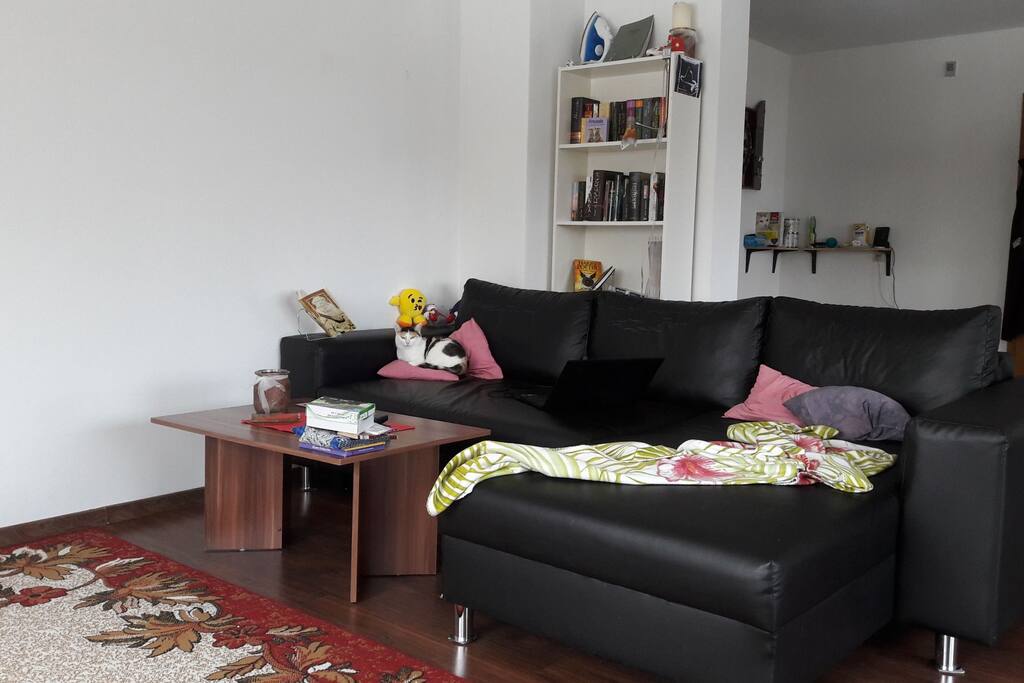 Wohnzimmer/ Living room