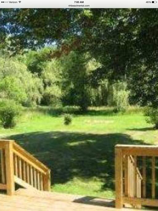 Lovely private backyard with willow tree