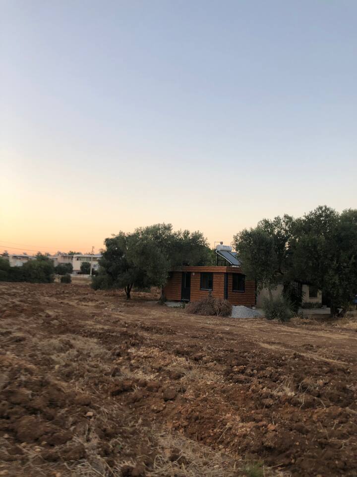 Tiny House Tatilin Tadını ÇıKarın - Akbük