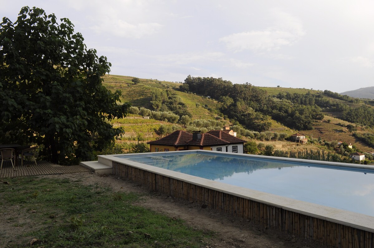 An infinity pool offers stunning views of the surrounding hills and vineyards, creating a serene outdoor space. Nearby, a wooden terrace features a dining area, partially shaded by a tree, providing a comfortable setting for relaxation amidst nature.