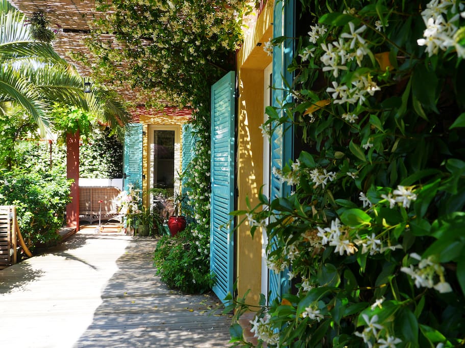 terrasse de jasmins: fleuri en mai et juin, le reste de l'année profitez du feuillage des jasmins toujours verts, et des fleurs de bignone roses. Terrasse plein Sud